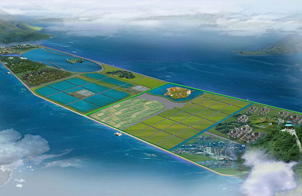 DP挖泥泵 DP挖泥泵